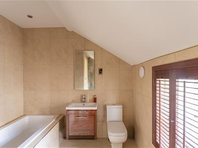 Picture 21